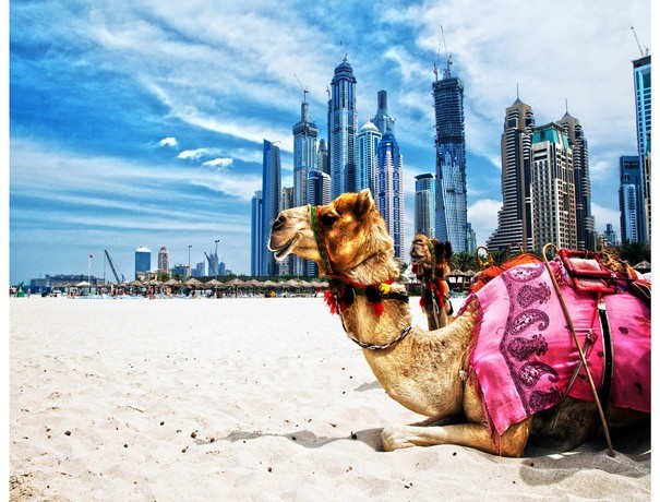 Paradise Tour Co. Pvt. Ltd. Travel Agents weddingplz