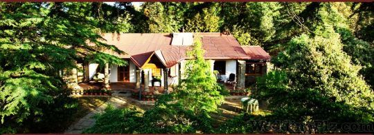RARE Destinations and Experiences Travel Agents weddingplz