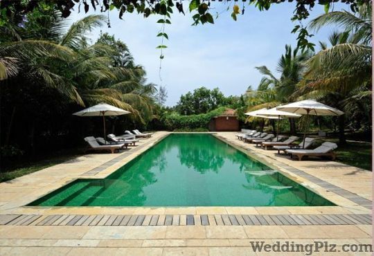RARE Destinations and Experiences Travel Agents weddingplz