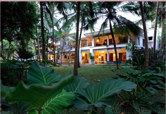 RARE Destinations and Experiences Travel Agents weddingplz