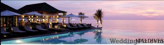 Regency Tours Pvt. Ltd. Travel Agents weddingplz