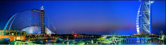 Regency Tours Pvt. Ltd. Travel Agents weddingplz