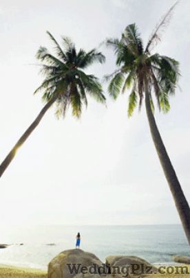 S A Southend Travel Pvt. Ltd. Travel Agents weddingplz