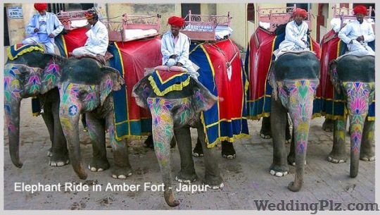 Shri Radhey Holidays Travel Agents weddingplz