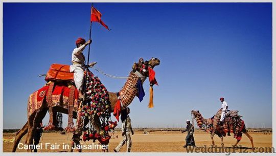 Shri Radhey Holidays Travel Agents weddingplz