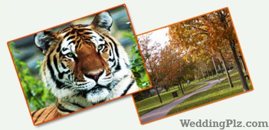 Snow Lion Expeditions Pvt. Ltd. Travel Agents weddingplz