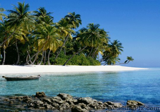 Splendour Tours And Travels Travel Agents weddingplz