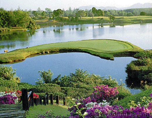 Tiger Travel Servies Travel Agents weddingplz
