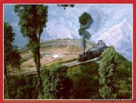 Top Travel and Tours Pvt. Ltd. Travel Agents weddingplz