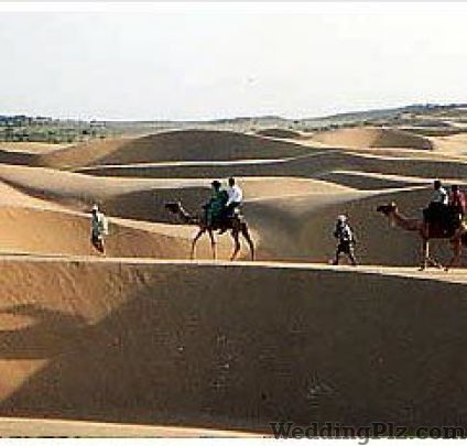Tour Mart India Travel Agents weddingplz