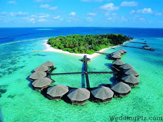 Trans Global Tour and Travels Travel Agents weddingplz