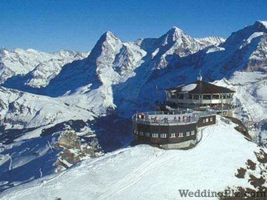 Trans Global Tour and Travels Travel Agents weddingplz