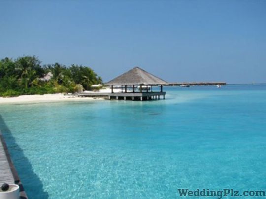 Trans Global Tour and Travels Travel Agents weddingplz