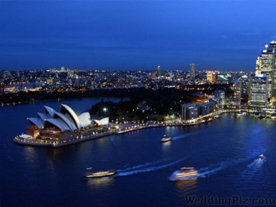 Trans Global Tour and Travels Travel Agents weddingplz