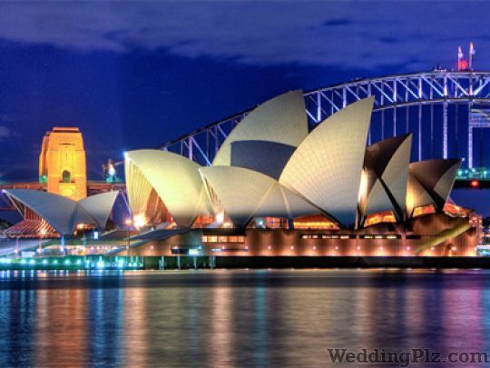 Trans Global Tour and Travels Travel Agents weddingplz