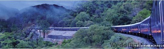 Travel Corporation India Ltd. Travel Agents weddingplz