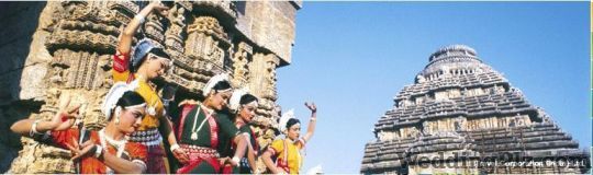 Travel Corporation India Ltd. Travel Agents weddingplz