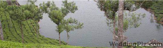 Travel Corporation India Ltd. Travel Agents weddingplz