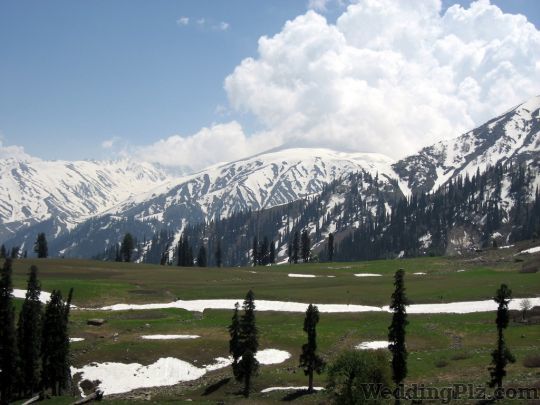 Travel Inn India Pvt. Ltd. Travel Agents weddingplz