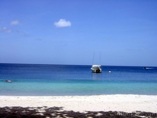 Travel Inn India Pvt. Ltd. Travel Agents weddingplz