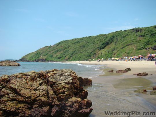 Travel Inn India Pvt. Ltd. Travel Agents weddingplz