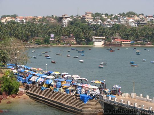 Travel Inn India Pvt. Ltd. Travel Agents weddingplz