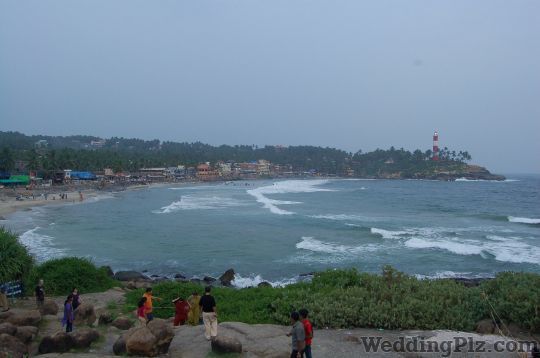 Travel Inn India Pvt. Ltd. Travel Agents weddingplz
