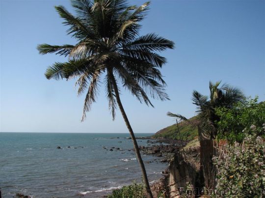Travel Inn India Pvt. Ltd. Travel Agents weddingplz