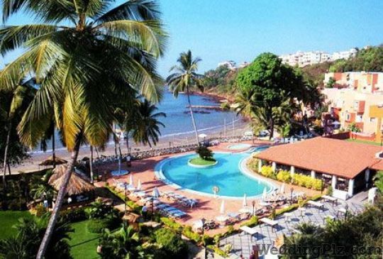 Travel O Solution Travel Agents weddingplz