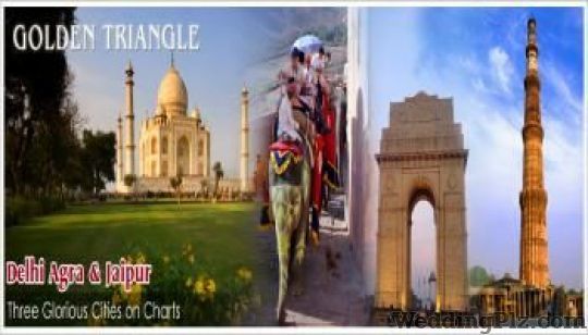 Vidya Tour and Travels Travel Agents weddingplz