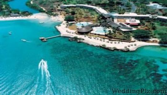 Vidya Tour and Travels Travel Agents weddingplz