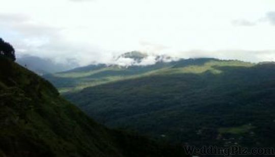 Vidya Tour and Travels Travel Agents weddingplz