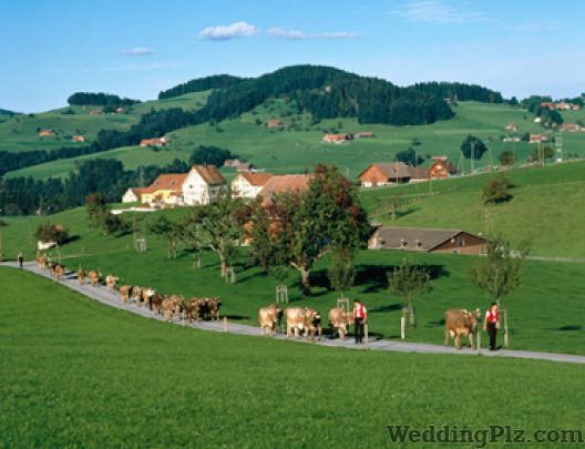 Zenith Leisure Holidays Ltd. Travel Agents weddingplz