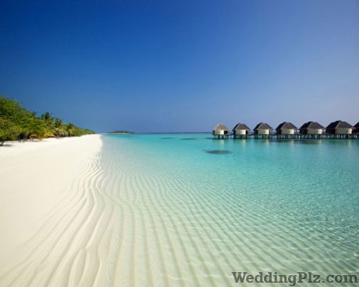 Zenith Leisure Holidays Ltd. Travel Agents weddingplz