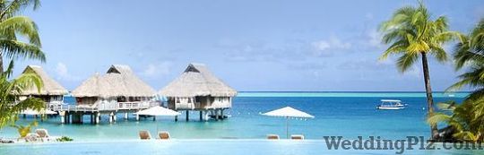 Riya Travel and Tours Travel Agents weddingplz