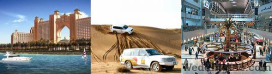 Trail Blazer Tours India Pvt. Ltd. Travel Agents weddingplz