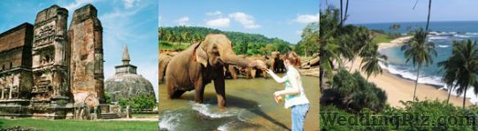 Trail Blazer Tours India Pvt. Ltd. Travel Agents weddingplz