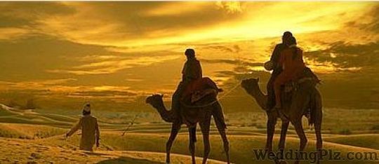 Aria Travels Travel Agents weddingplz