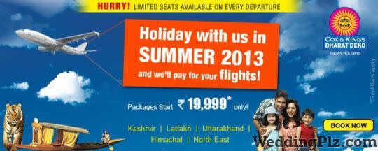 Cox and Kings India Ltd. Travel Agents weddingplz