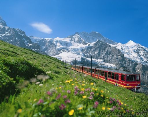 Swisstours Travel Agents weddingplz