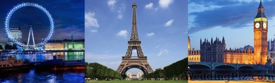 Star Gazer travelz Factory Pvt. Ltd. Travel Agents weddingplz
