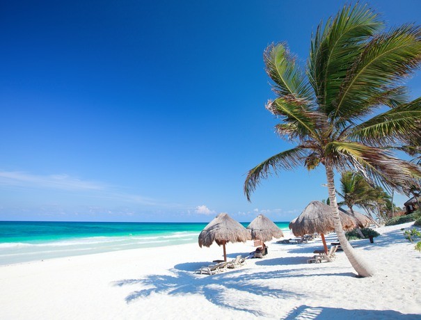 Aeronet Travtour Pvt. Ltd. Travel Agents weddingplz