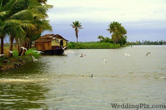 Narain Tourist Taxi Travel Agents weddingplz