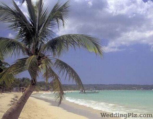 Balaji Tours And Travels Travel Agents weddingplz