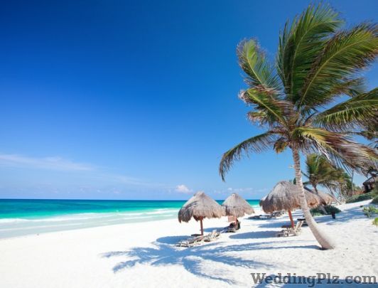 Pooja Tours And Travels Travel Agents weddingplz