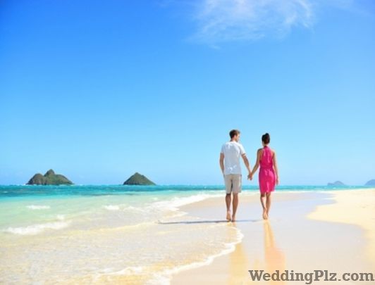 Udaan Travels Travel Agents weddingplz