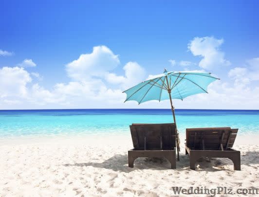 Whyteline Travels Travel Agents weddingplz