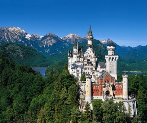 Dream Your Trip Travel Agents weddingplz