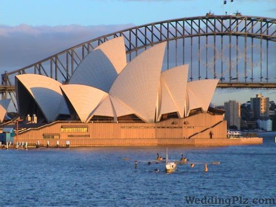 Dream Your Trip Travel Agents weddingplz
