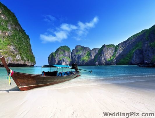 Kesineni Tours And Travels Travel Agents weddingplz